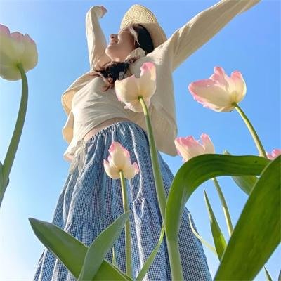 芭比之皇室摇滚